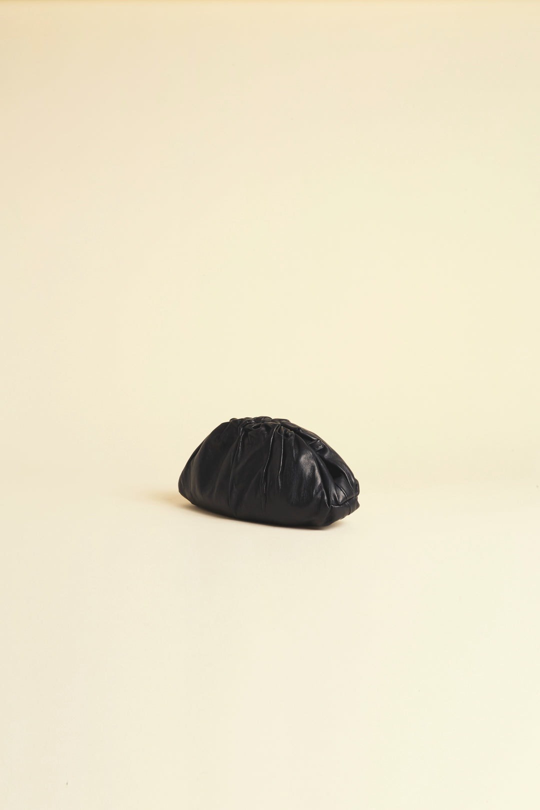 Shell | Leather purse bag