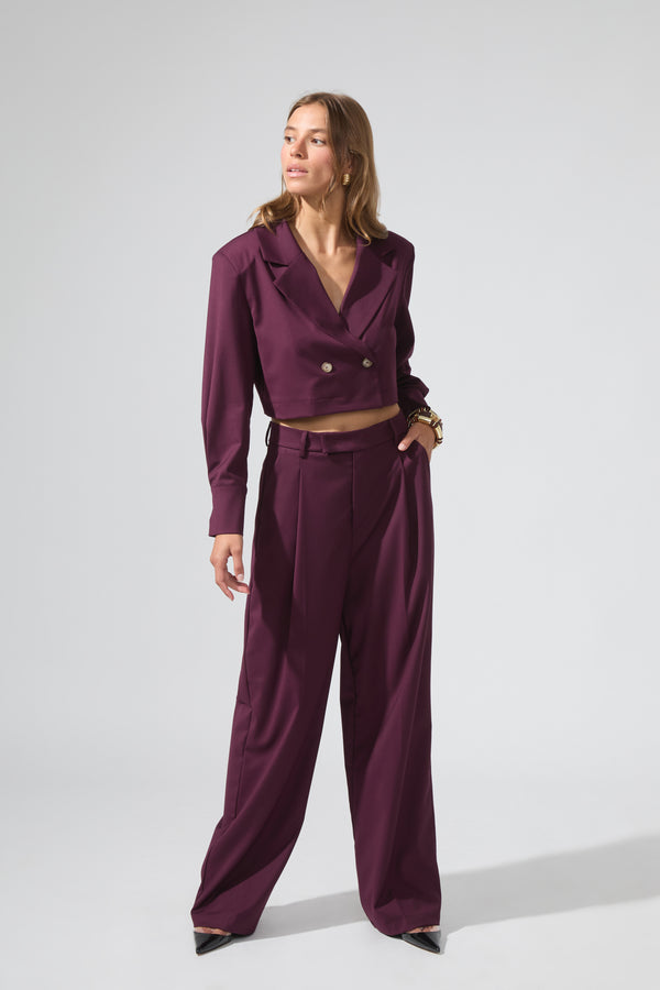 Richard | Blazer pants with darts